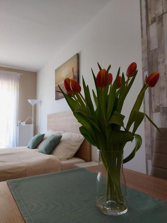 Bike & Spa Velence Apartman Eksteriør billede